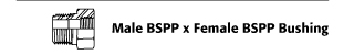 Male BSPP x Female BSPP Bushing